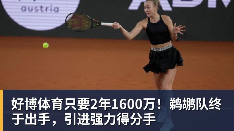 好博体育只要2年1600万！鹈鹕队终于出手，引进强力得分手