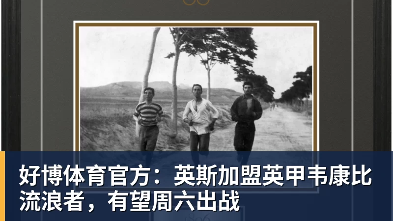 好博体育官方：英斯加盟英甲韦康比流浪者，有望周六出战