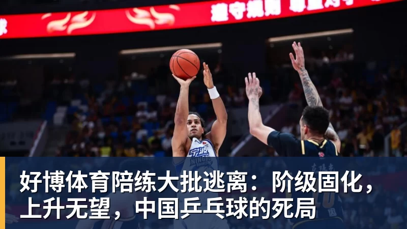 好博体育陪练大批逃离：阶级固化，上升无望，中国乒乓球的死局