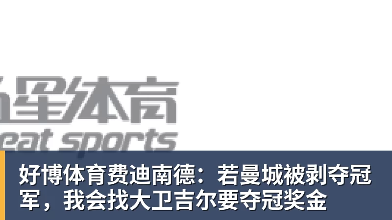 好博体育费迪南德：若曼城被剥夺冠军，我会找大卫吉尔要夺冠奖金